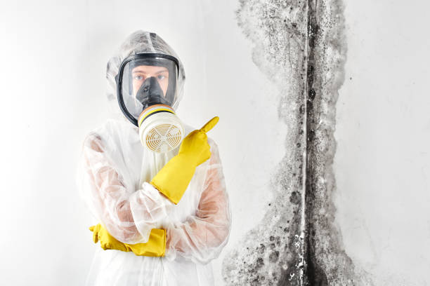 Best Attic Mold Removal  in Winston, OR