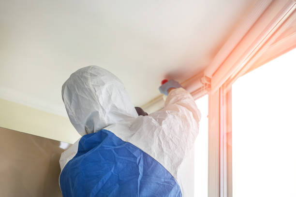 Why You Should Choose Our Mold Remediation Services in Winston, OR